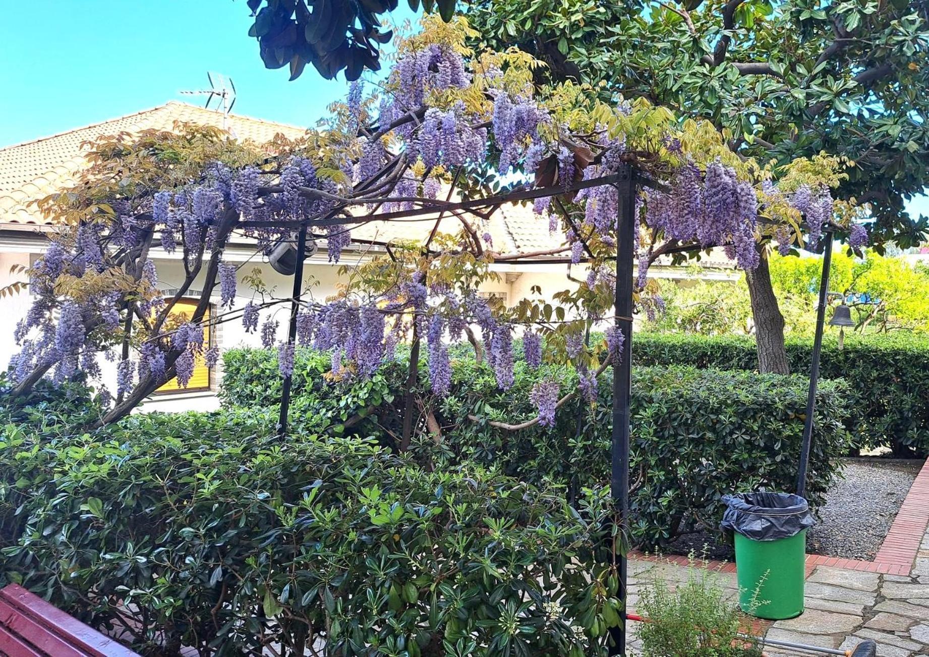 Villa Casa Gazzano à Imperia Extérieur photo